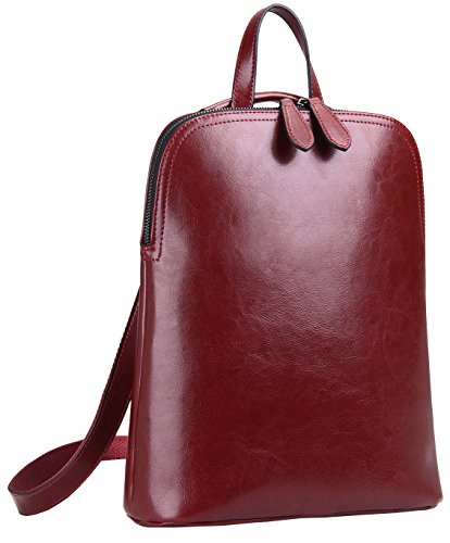 HESHE Leather Backpack Designer Purse for Women Fashion Ladies Travel College Shoulder Bag (Wine-J039)