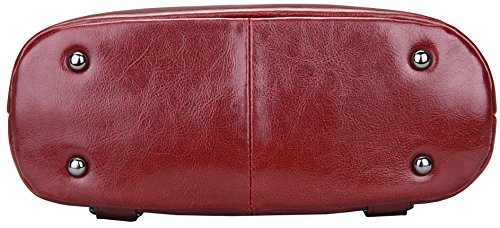 HESHE Leather Backpack Designer Purse for Women Fashion Ladies Travel College Shoulder Bag (Wine-J039)