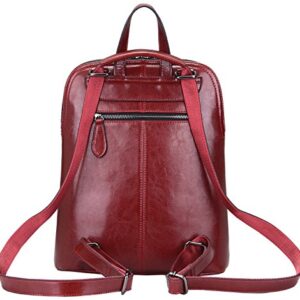 HESHE Leather Backpack Designer Purse for Women Fashion Ladies Travel College Shoulder Bag (Wine-J039)