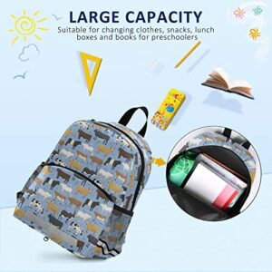 Fisyme Cows Farm Animal Backpack Schoolbag Kids Daypack Toddler Travel School Bag Small Mini Backpacks for Kindergarten Preschool Nursery Children Boys Girls with Chest Strap