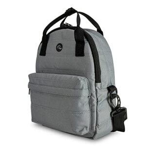 skunk raven backpack (platinum gray)