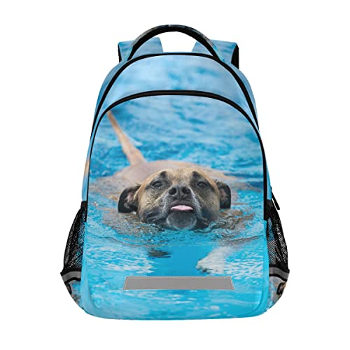 Glaphy Pitbull Dog Swimming Backpack with Reflective Stripes, Laptop School Book Bag Lightweight Computer Backpacks for Men Women Kids