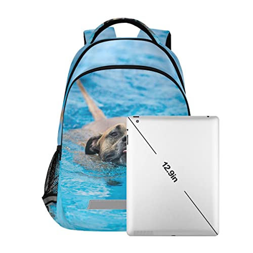 Glaphy Pitbull Dog Swimming Backpack with Reflective Stripes, Laptop School Book Bag Lightweight Computer Backpacks for Men Women Kids