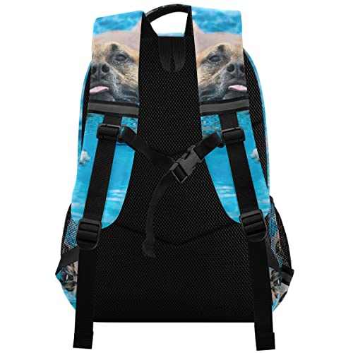 Glaphy Pitbull Dog Swimming Backpack with Reflective Stripes, Laptop School Book Bag Lightweight Computer Backpacks for Men Women Kids