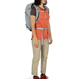 Osprey Hikelite 26L Unisex Hiking Backpack, Silver Lining, One Size