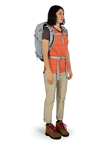 Osprey Hikelite 26L Unisex Hiking Backpack, Silver Lining, One Size