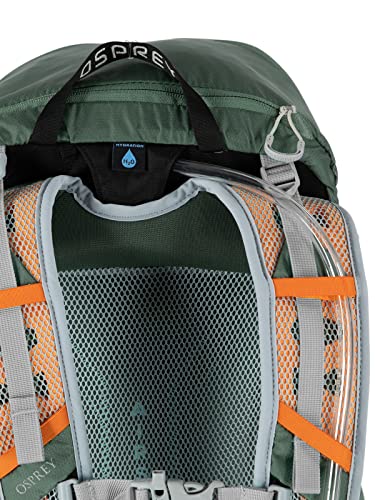 Osprey Hikelite 26L Unisex Hiking Backpack, Silver Lining, One Size