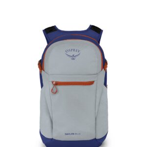 Osprey Daylite Plus Everyday Backpack, Silver Lining/Blueberry, One Size