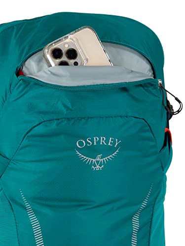 Osprey Hikelite 18L Unisex Hiking Backpack, Silver Lining, One Size