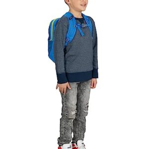 Osprey Daylite Jr. Kids' Everyday Backpack, Alpin Blue/Blue Flame, One Size