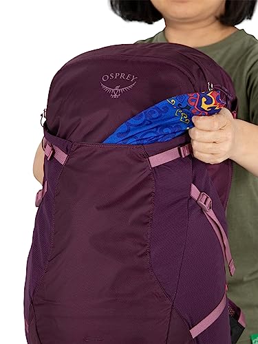 Osprey Sportlite 25L Unisex Hiking Backpack, Dark Charcoal Grey, M/L, Extended Fit