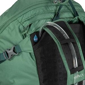 Osprey Skarab 30L Men's Hiking Backpack with Hydraulics Reservoir, Tundra Green, One Size