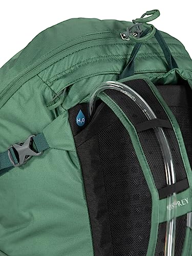 Osprey Skarab 30L Men's Hiking Backpack with Hydraulics Reservoir, Tundra Green, One Size