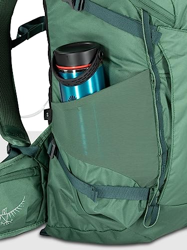 Osprey Skarab 30L Men's Hiking Backpack with Hydraulics Reservoir, Tundra Green, One Size