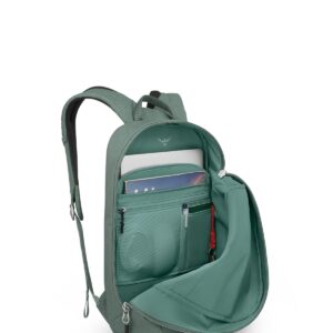 Osprey Arcane Large Day Everyday Backpack, Pine Leaf Green, One Size