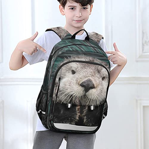 Glaphy Sea Otter Animals Backpack School Bag Lightweight Laptop Backpack Student Travel Daypack with Reflective Stripes