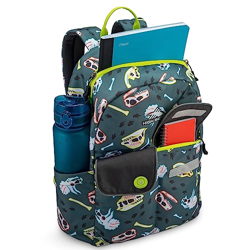 High Sierra Chiqui Backpack Travel Bag with Padded Tablet Sleeve, Accessory Pocket and Reflective Straps, Dino Dig/Mercury