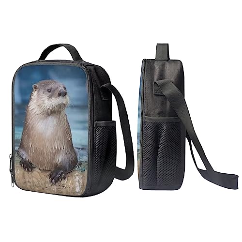 Kids Novelty Animal Backpack and Lunch Box for Boys Girls Student Lightweight 17 Inch School North American River Otter Backpack with Lunch Bag Pencil Case Kids Comfy Padded Black Large Bookbag