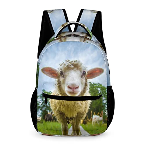 Niapessel Kids Backpack for School, Cute Sheep Pattern Students Bookbags School Bags Girls Boys