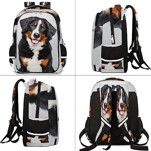 Bernese Mountain Dog Kids Backpack for Boys Girls Teens, 16 Inch School Backpack Schoolbag Travel Laptop Backpack Elementary Primary Students Bookbag