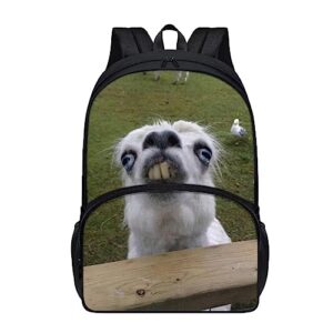 amzprint 17 inch funny llama backpack for elementary middle school alpaca backpack for kids child back to school as gift