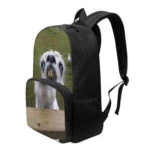 AmzPrint 17 Inch Funny Llama Backpack For Elementary Middle School Alpaca Backpack For Kids Child Back To School As Gift