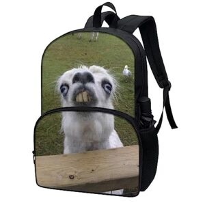 AmzPrint 17 Inch Funny Llama Backpack For Elementary Middle School Alpaca Backpack For Kids Child Back To School As Gift