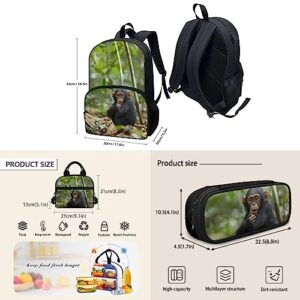 Chimpanzee Backpack Lunchbox Set School Bookbag with Lunch Bag and Pencil Case Pen Stationery Bag