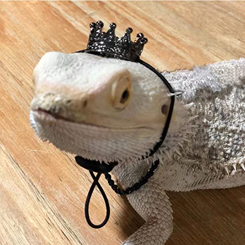 SEIS 2 Pcs Bearded Dragon Crown and Necklace Metal Lizard Outfit Halloween Small Animal Clothes Harness for Chameleon Gecko Anole Iguana Amphibians (Black)