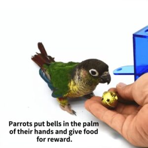 Barn Eleven Parrot Foraging Toys with Bell, Bird Training Toy, Bird Interactive Intelligence Toy for Budgies Parakeets Cockatiels Conure