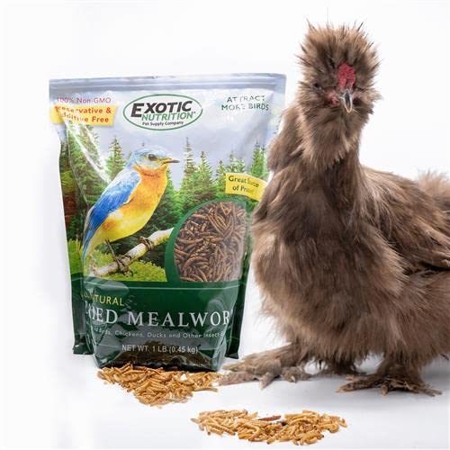 Dried Mealworms - 100% Natural, Non-GMO, High Protein, Bulk Insect Treat for Chicken, Laying Hen, Chick, Wild Bird, Bluebird, Duck, Goose, Turkey, Chickadee, Titmice, Wren, Reptile, Fish (10 lb.)