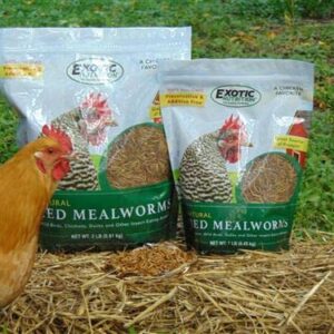 Dried Mealworms - 100% Natural, Non-GMO, High Protein, Bulk Insect Treat for Chicken, Laying Hen, Chick, Wild Bird, Bluebird, Duck, Goose, Turkey, Chickadee, Titmice, Wren, Reptile, Fish (10 lb.)