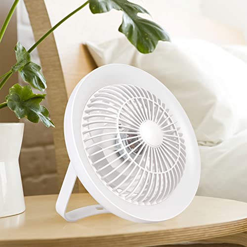 Depuley Portable Table Fan and LED Light, 8" Battery Operated Personal Desk Fan for Hanging or Tabletop Use, 4000mAH Outdoor Small Rechargeable Quiet Camping USB Fans with 3 Speeds for Tent, Office