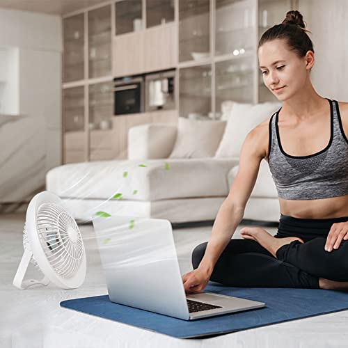 Depuley Portable Table Fan and LED Light, 8" Battery Operated Personal Desk Fan for Hanging or Tabletop Use, 4000mAH Outdoor Small Rechargeable Quiet Camping USB Fans with 3 Speeds for Tent, Office