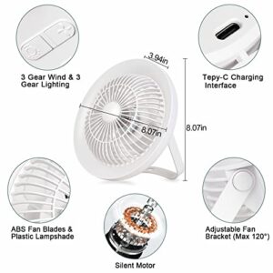 Depuley Portable Table Fan and LED Light, 8" Battery Operated Personal Desk Fan for Hanging or Tabletop Use, 4000mAH Outdoor Small Rechargeable Quiet Camping USB Fans with 3 Speeds for Tent, Office