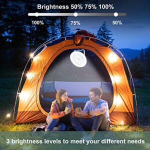 Depuley Portable Table Fan and LED Light, 8" Battery Operated Personal Desk Fan for Hanging or Tabletop Use, 4000mAH Outdoor Small Rechargeable Quiet Camping USB Fans with 3 Speeds for Tent, Office