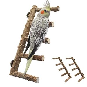 2 pack bird ladder, bird perch stand, natural prickly ash wood bird parrot cage accessories, bird standing climbing chewing toys for parakeet cockatiel rats hamsters