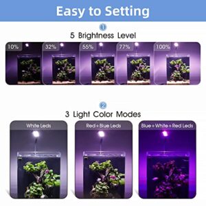 hygger 0.5~5 Gallon Nano Tank Mini Clip-on Aquarium Light with White Blue Red LEDs Fish Tank Lighting Built-in Timer 5 Brightness Levels 6W with USB Port (Include Power Plug)