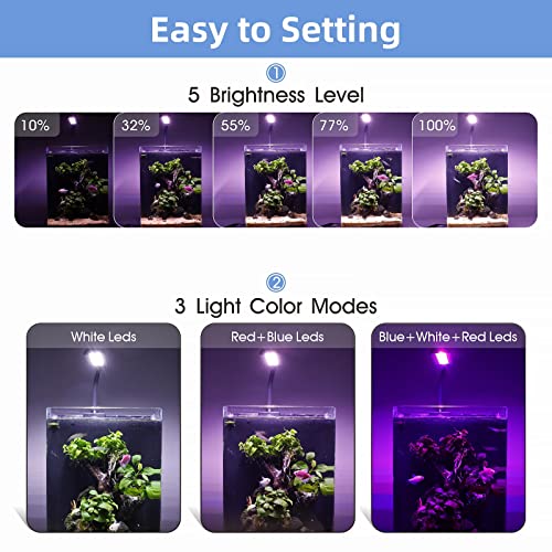 hygger 0.5~5 Gallon Nano Tank Mini Clip-on Aquarium Light with White Blue Red LEDs Fish Tank Lighting Built-in Timer 5 Brightness Levels 6W with USB Port (Include Power Plug)