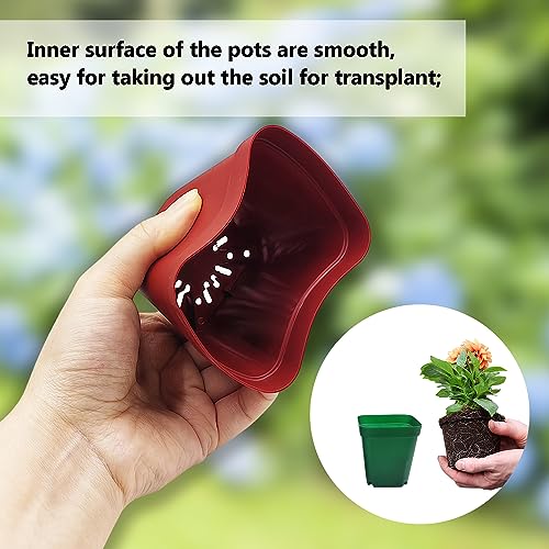 RooTrimmer 120-Pack 2.7"x2.7" Square Plastic Nursery Pot 3" Deep Succulent Pots Small Flower Planter Seeds Starter Pots with Drainage (Green,Black,Red 40pcs Each)