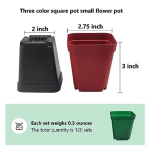 RooTrimmer 120-Pack 2.7"x2.7" Square Plastic Nursery Pot 3" Deep Succulent Pots Small Flower Planter Seeds Starter Pots with Drainage (Green,Black,Red 40pcs Each)