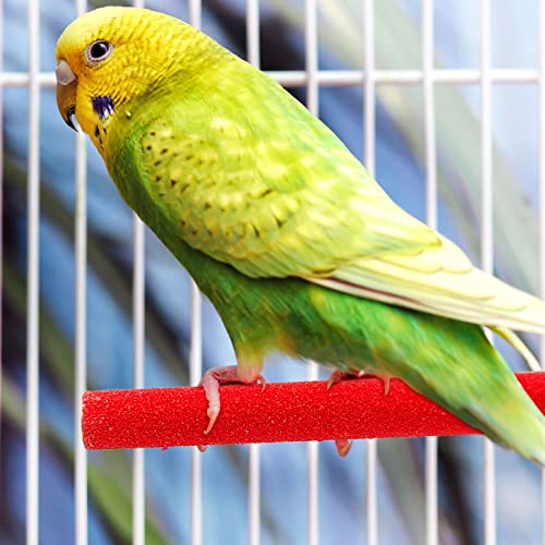 10 Pieces Bird Perch Stand Parrot Stand Paw Grinding Stick Parrot Perch Rough Surfaced Bird Cage Stand Colorful Wooden Parakeet Perch Bird Toys for Cockatiels Bird Cage Accessories