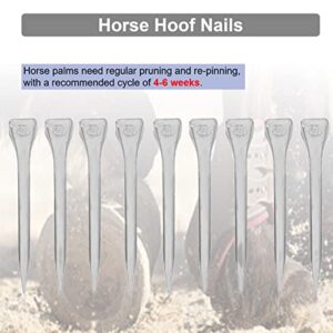 KUIDAMOS 250PCS Horseshoe Nails, Horseshoes Equipment Equestrian Sport Equipment Horse Training Supplies Tool 2.1 Inch E6 Hoof Nails for Horse Race