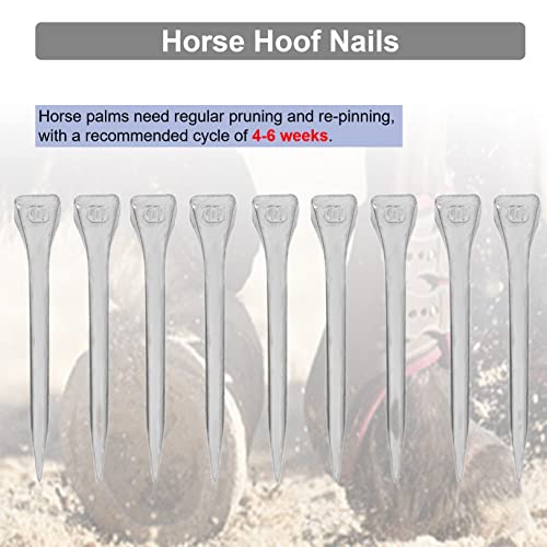 KUIDAMOS 250PCS Horseshoe Nails, Horseshoes Equipment Equestrian Sport Equipment Horse Training Supplies Tool 2.1 Inch E6 Hoof Nails for Horse Race