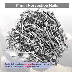 KUIDAMOS 250PCS Horseshoe Nails, Horseshoes Equipment Equestrian Sport Equipment Horse Training Supplies Tool 2.1 Inch E6 Hoof Nails for Horse Race