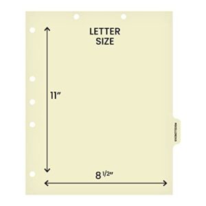 Individual Chart Divider Sheets Used to Build Chart Divider Sets for Medical Practices, 1/6th Cut, Tabs on Side, Position: #5, Text: Miscellaneous, Color: Clear (Pack of 100)