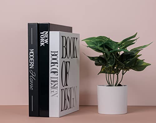 Set of 3 Decorative Books for Home Decor - XL Coffee Table Decoration Books - Best Display Books - Book Decorations - Modern Hardcover Book Stack - Fashion Designer Book Set - New York/Black/White