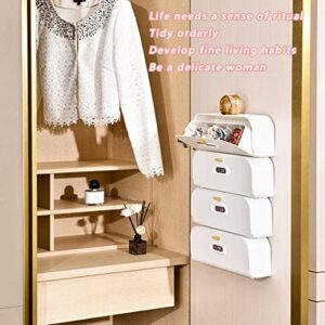 ACGrade organizer,Wall-mounted Clamshell underwear Sock Organizer Box,Home wardrobe sock organizer,Closet Storage Bin,for Socks, Underwear,Ties,Belts(3pcs) 12.6x4.7x3.5 inch