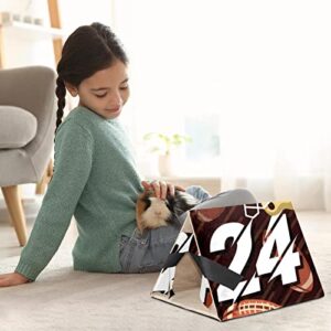 Rugby Pattern, Guinea Pig Hideout for Small Animal Hamster Gerbils Chipmunks Squirrels Hedgehogs Guinea Pig Bed