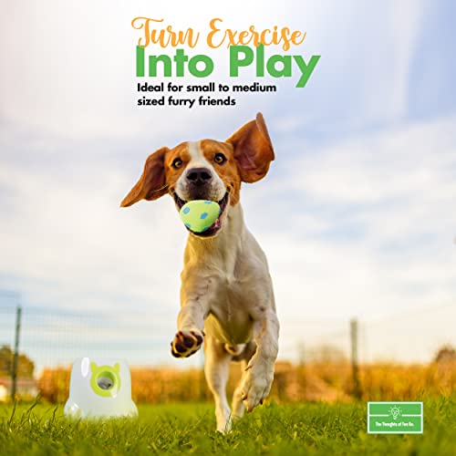 THE THOUGHTS OF FUN CO. Automatic Dog Ball Launcher/Thrower- Dog Fetch Machine for Small to Medium Sized Dogs, Great Exercise for Dogs with 6 Latex Balls, Dual Power Supply